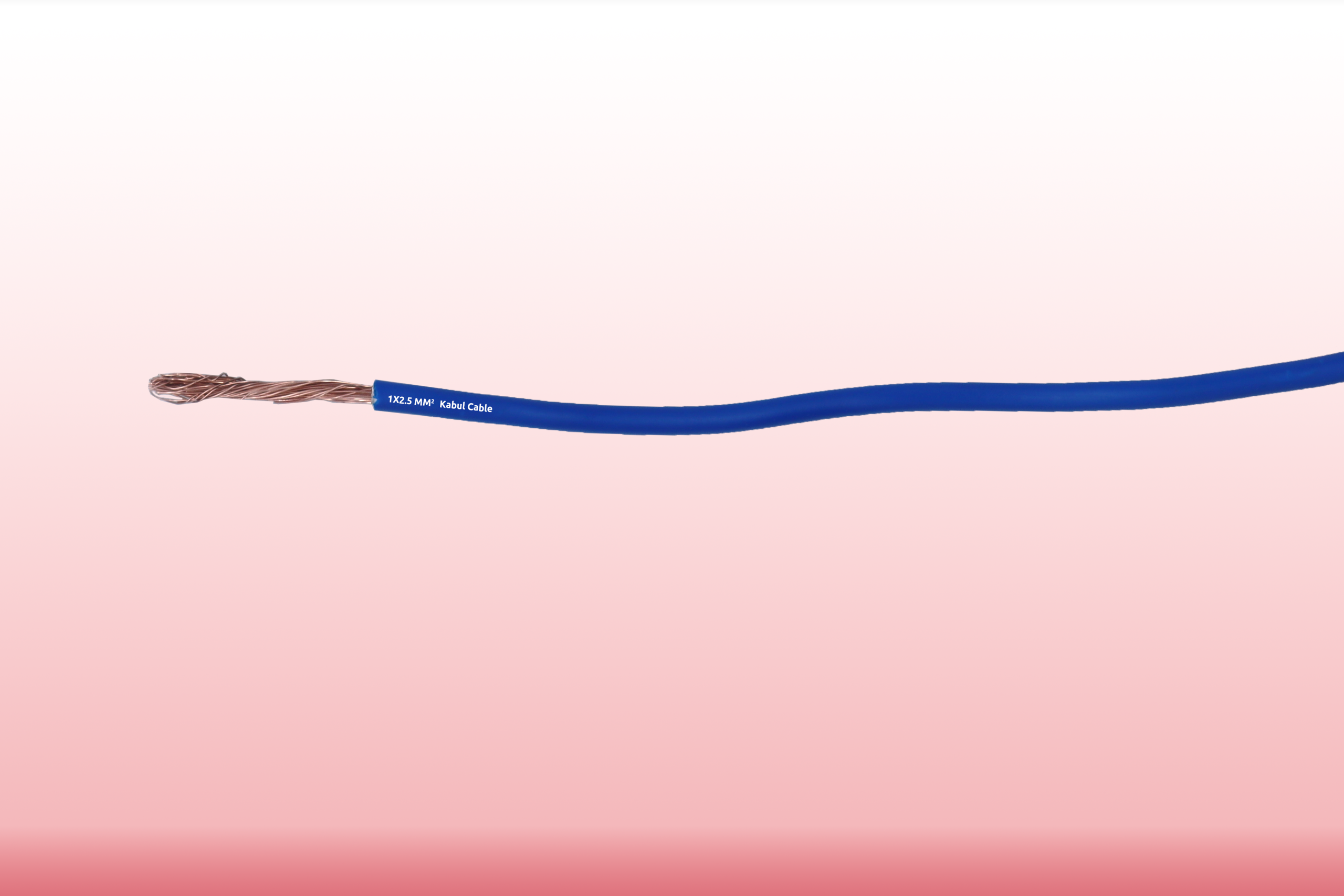 1×2.5 Cable